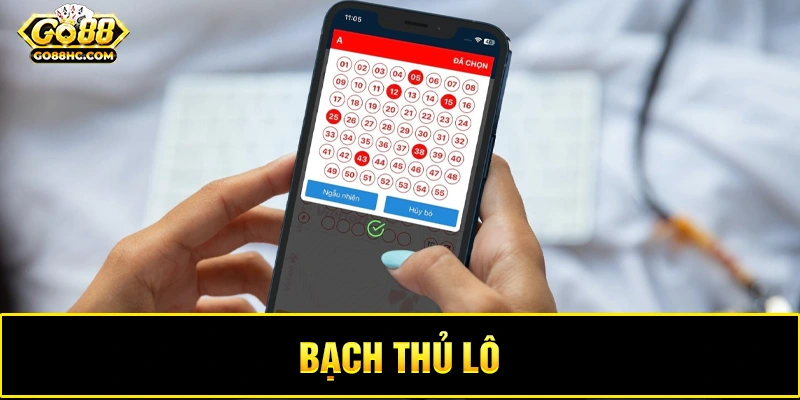 Tìm hiểu về cách chơi bạch thủ lô và những điều cần biết